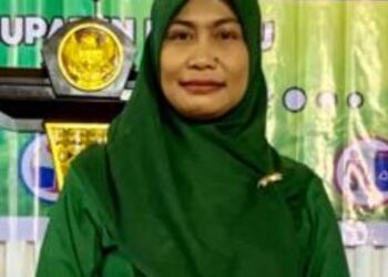 Himbauan Untuk Waspada Terhadap Serangan Influenza
