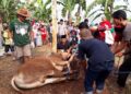 Taktik Kurban Senyap, Hindari Pemburu Daging