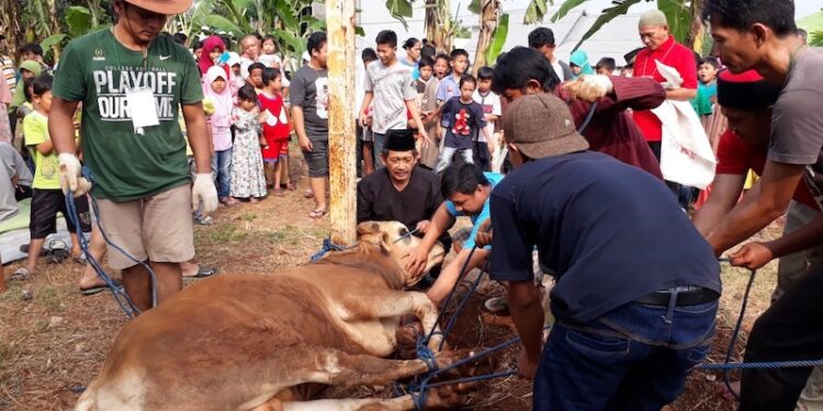 Taktik Kurban Senyap, Hindari Pemburu Daging