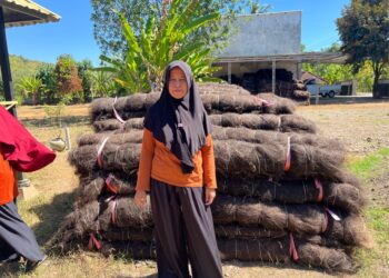 Ijuk Blangket, Penopang Lereng, Penopang Keluarga