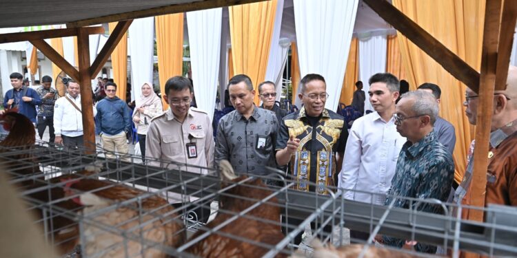 Dukung Program Desa Berdaya NTB, Bank NTB Syariah Salurkan Bantuan Budidaya Ayam Petelur untuk Masyarakat Desa Lendang Nangka Utara